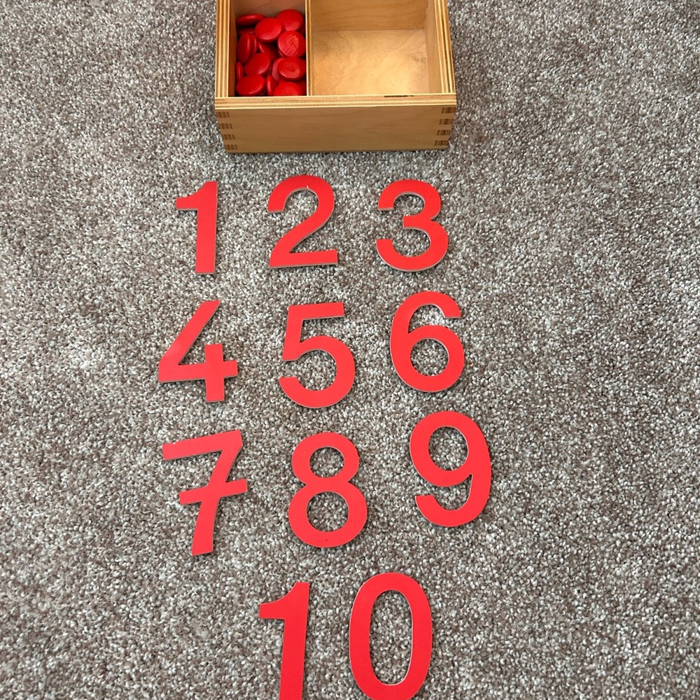 Montessori 1-10 Wooden Counter Set